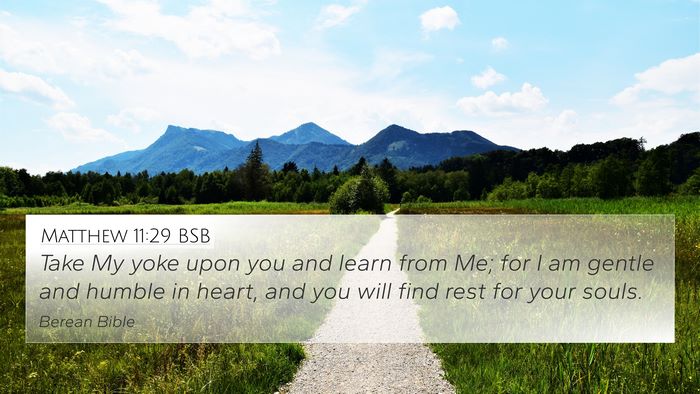 Matthew 11:29 BSB Bible Verse Image