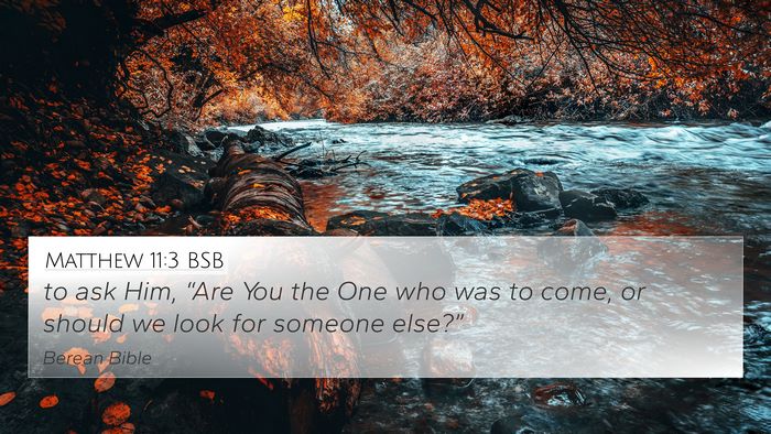Matthew 11:3 BSB 4K Wallpaper - to ask Him, “Are You the One who was to come, - 4K Wallpaper Bible Verse