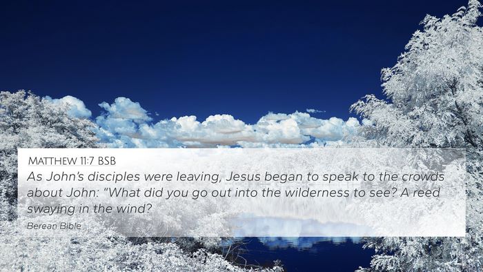 Matthew 11:7 BSB Bible Verse Image