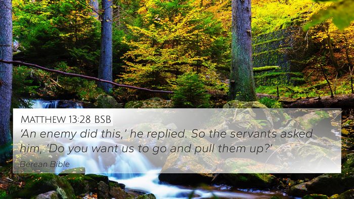 Matthew 13:28 BSB Bible Verse Image