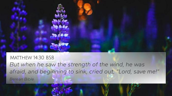 Matthew 14:30 BSB 4K Wallpaper - But when he saw the strength of the wind, he was - 4K Wallpaper Bible Verse