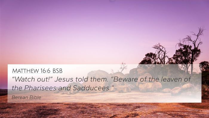 Matthew 16:6 BSB Bible Verse Image