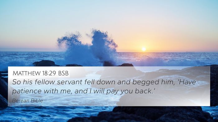 Matthew 18:29 BSB Bible Verse Image