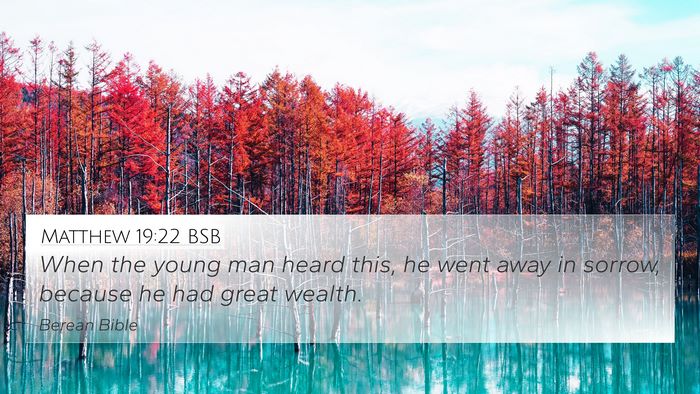 Matthew 19:22 BSB Bible Verse Image