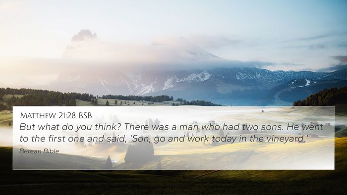 Matthew 21:28 BSB Bible Verse Image