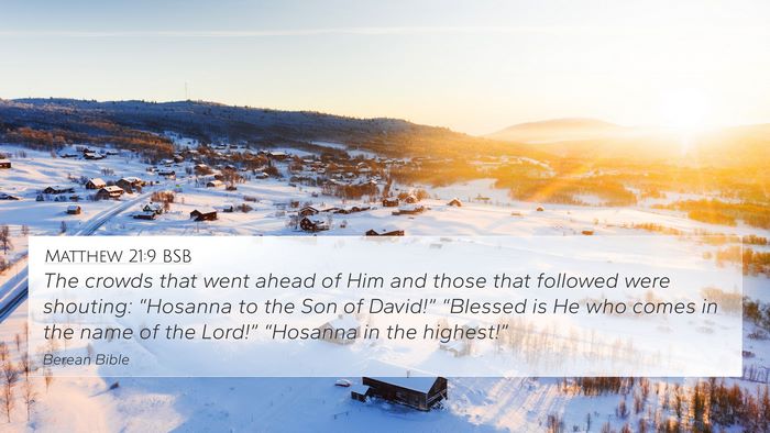 Matthew 21:9 BSB Bible Verse Image