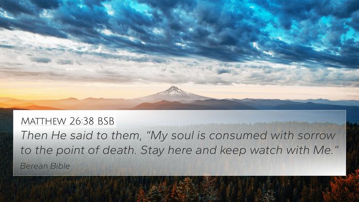 Matthew 26:38 BSB Bible Verse Image