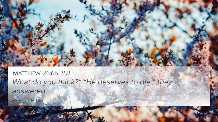 Matthew 26:66 BSB 4K Wallpaper - What do you think?” “He deserves to die,” - 4K Wallpaper Bible Verse
