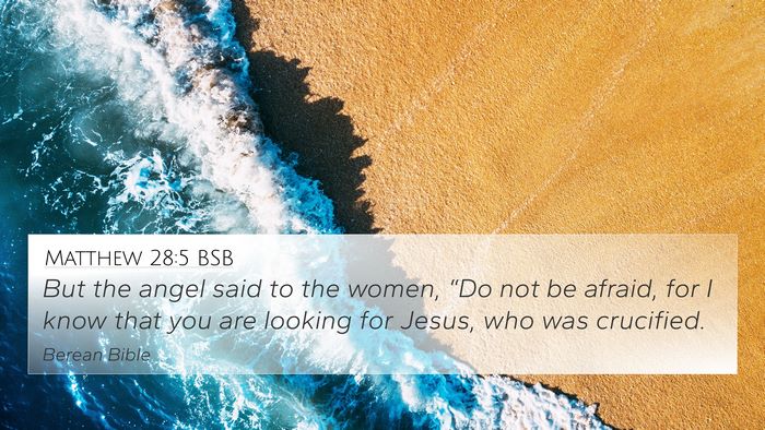 Matthew 28:5 BSB Bible Verse Image