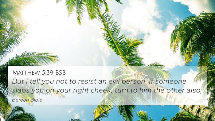 Matthew 5:39 BSB Bible Verse Image