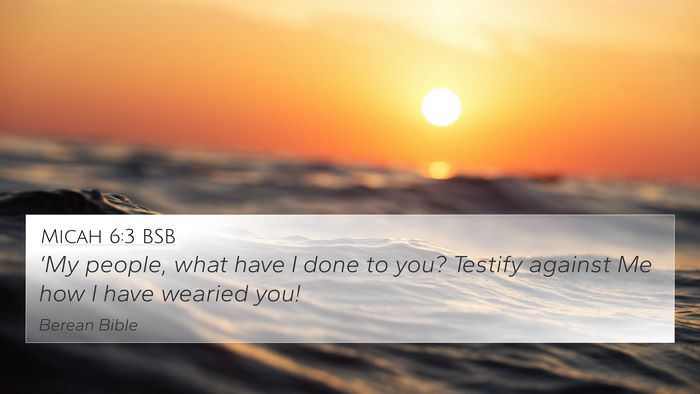 Micah 6:3 BSB Bible Verse Image