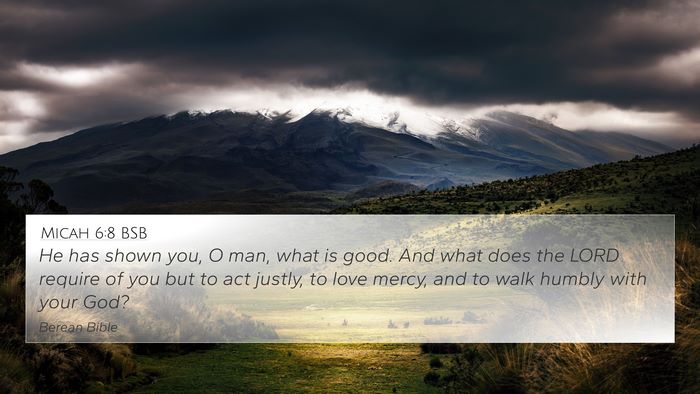 Micah 6:8 BSB Bible Verse Image