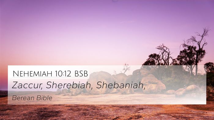 Nehemiah 10:12 BSB Bible Verse Image