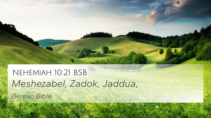 Nehemiah 10:21 BSB 4K Wallpaper - Meshezabel, Zadok, - 4K Wallpaper Bible Verse