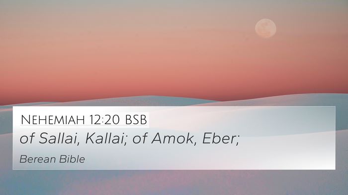 Nehemiah 12:20 BSB 4K Wallpaper - of Sallai, Kallai; of Amok, - 4K Wallpaper Bible Verse