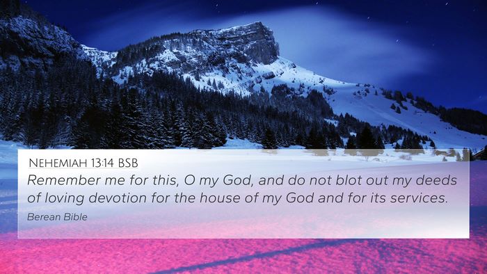 Nehemiah 13:14 BSB Bible Verse Image