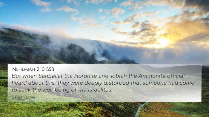 Nehemiah 2:10 BSB Bible Verse Image