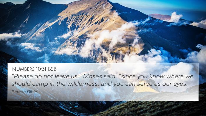 Numbers 10:31 BSB 4K Wallpaper - “Please do not leave us,” Moses said, - 4K Wallpaper Bible Verse