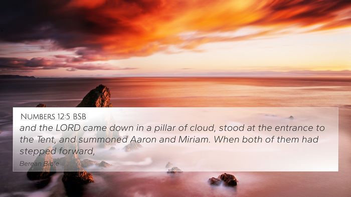 Numbers 12:5 BSB 4K Wallpaper - and the LORD came down in a pillar of cloud, - 4K Wallpaper Bible Verse