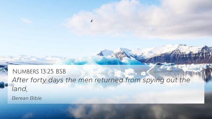 Numbers 13:25 BSB 4K Wallpaper - After forty days the men returned from spying out - 4K Wallpaper Bible Verse