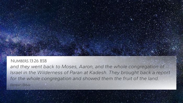 Numbers 13:26 BSB Bible Verse Image