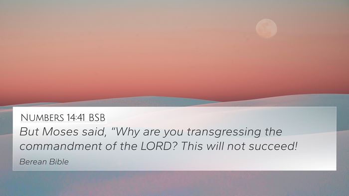 Numbers 14:41 BSB Bible Verse Image