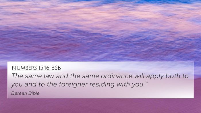 Numbers 15:16 BSB Bible Verse Image