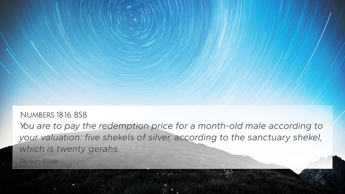 Numbers 18:16 BSB Bible Verse Image