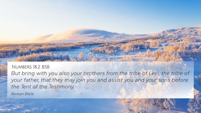 Numbers 18:2 BSB Bible Verse Image