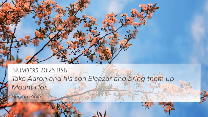 Numbers 20:25 BSB Bible Verse Image