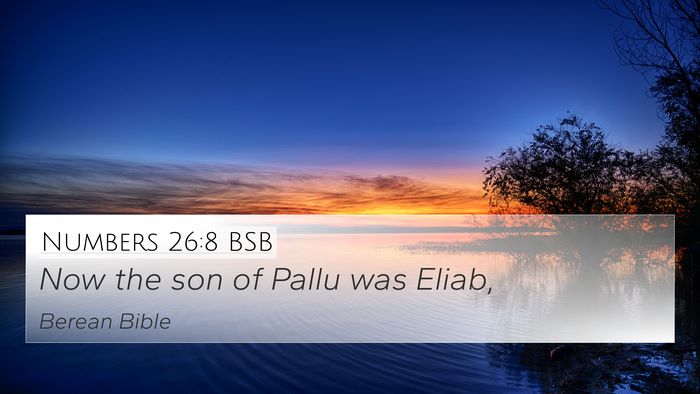 Numbers 26:8 BSB 4K Wallpaper - Now the son of Pallu was - 4K Wallpaper Bible Verse