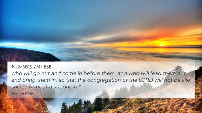 Numbers 27:17 BSB Bible Verse Image