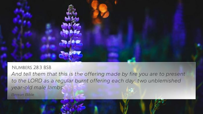 Numbers 28:3 BSB Bible Verse Image