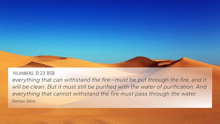 Numbers 31:23 BSB 4K Wallpaper - everything that can withstand the fire—must be - 4K Wallpaper Bible Verse