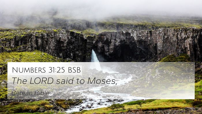 Numbers 31:25 BSB 4K Wallpaper - The LORD said to - 4K Wallpaper Bible Verse