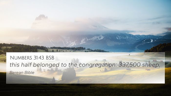 Numbers 31:43 BSB 4K Wallpaper - this half belonged to the congregation: 337,500 - 4K Wallpaper Bible Verse