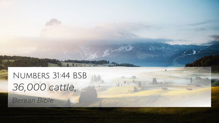 Numbers 31:44 BSB 4K Wallpaper - 36,000 - 4K Wallpaper Bible Verse