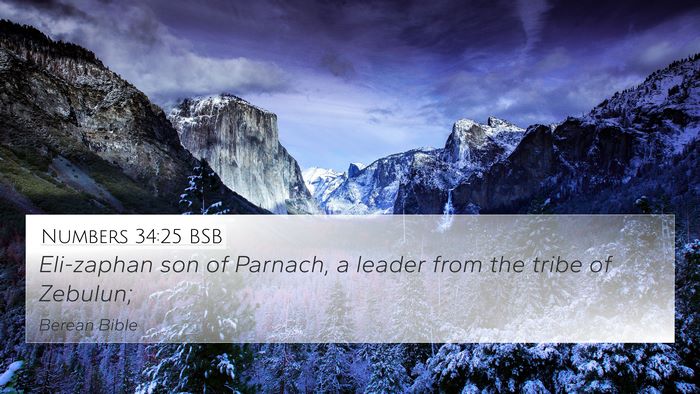 Numbers 34:25 BSB 4K Wallpaper - Eli-zaphan son of Parnach, a leader from the - 4K Wallpaper Bible Verse