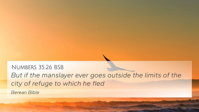 Numbers 35:26 BSB 4K Wallpaper - But if the manslayer ever goes outside the limits - 4K Wallpaper Bible Verse