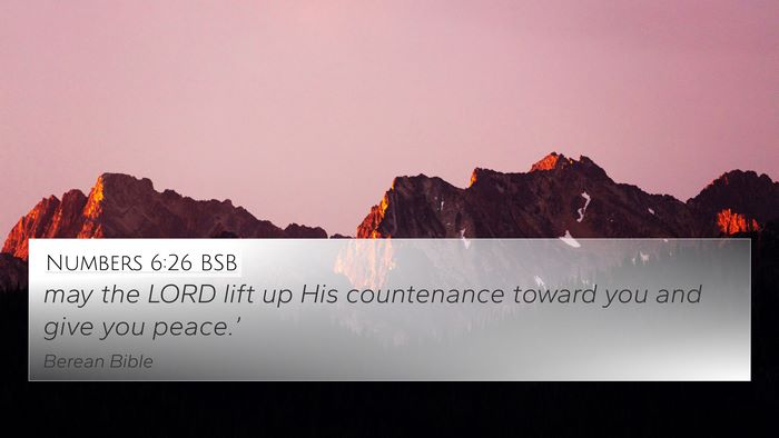 Numbers 6:26 BSB Bible Verse Image