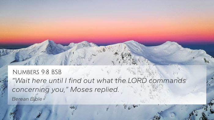 Numbers 9:8 BSB Bible Verse Image