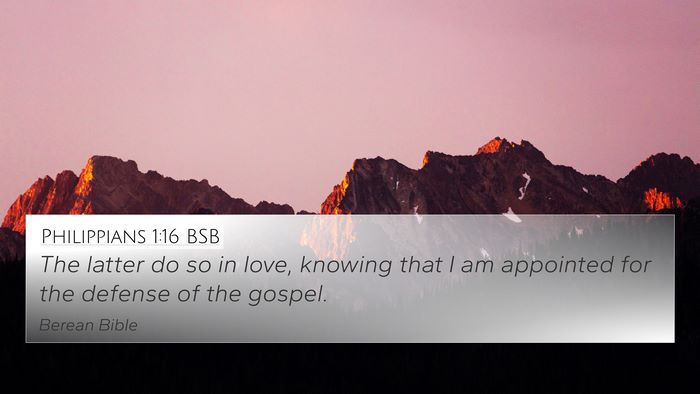 Philippians 1:16 BSB Bible Verse Image