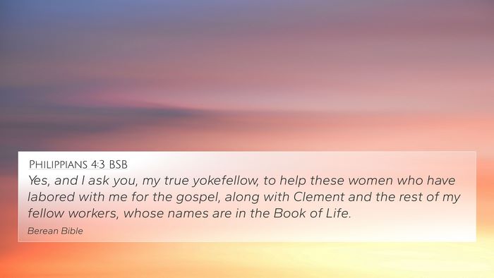 Philippians 4:3 BSB Bible Verse Image