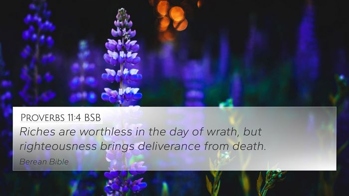 Proverbs 11:4 BSB Bible Verse Image