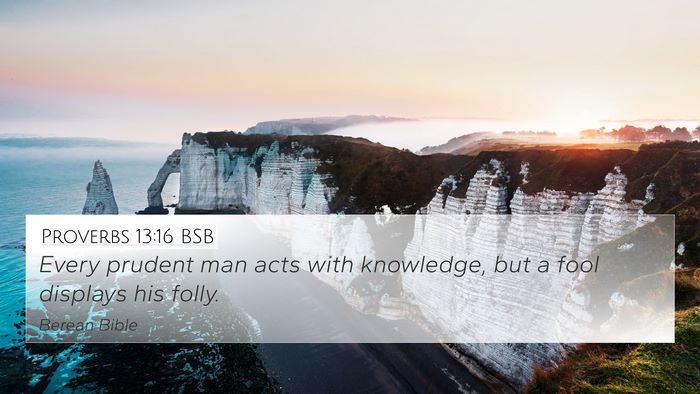 Proverbs 13:16 BSB Bible Verse Image