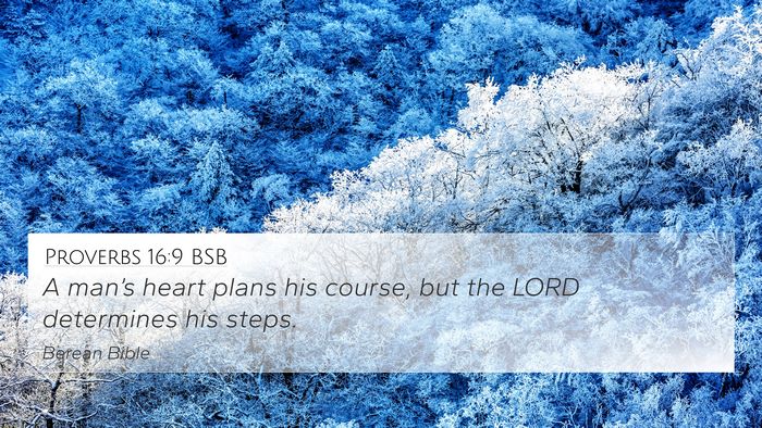Proverbs 16:9 BSB Bible Verse Image
