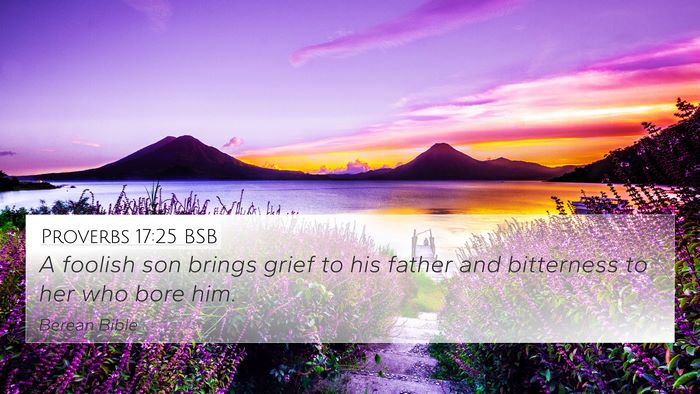 Proverbs 17:25 BSB Bible Verse Image
