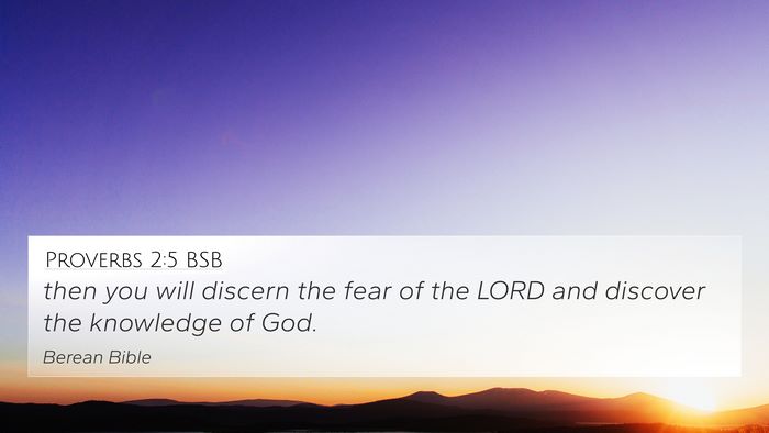Proverbs 2:5 BSB 4K Wallpaper - then you will discern the fear of the LORD and - 4K Wallpaper Bible Verse