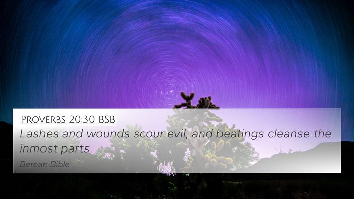 Proverbs 20:30 BSB Bible Verse Image