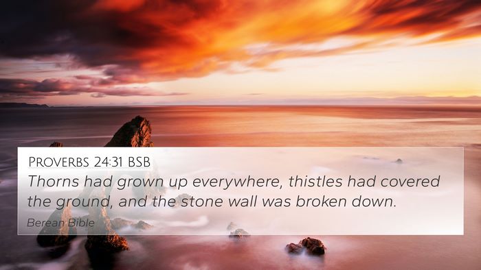 Proverbs 24:31 BSB 4K Wallpaper - Thorns had grown up everywhere, thistles had - 4K Wallpaper Bible Verse